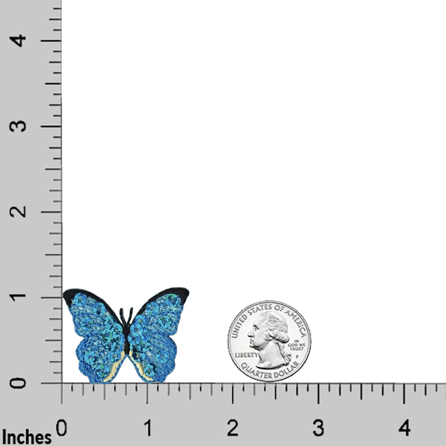 A Blue Sequined Butterfly Insect (5-Pack) Iron On Patch by Laughing Lizards and a U.S. quarter are displayed on an inch-marked grid for size comparison.