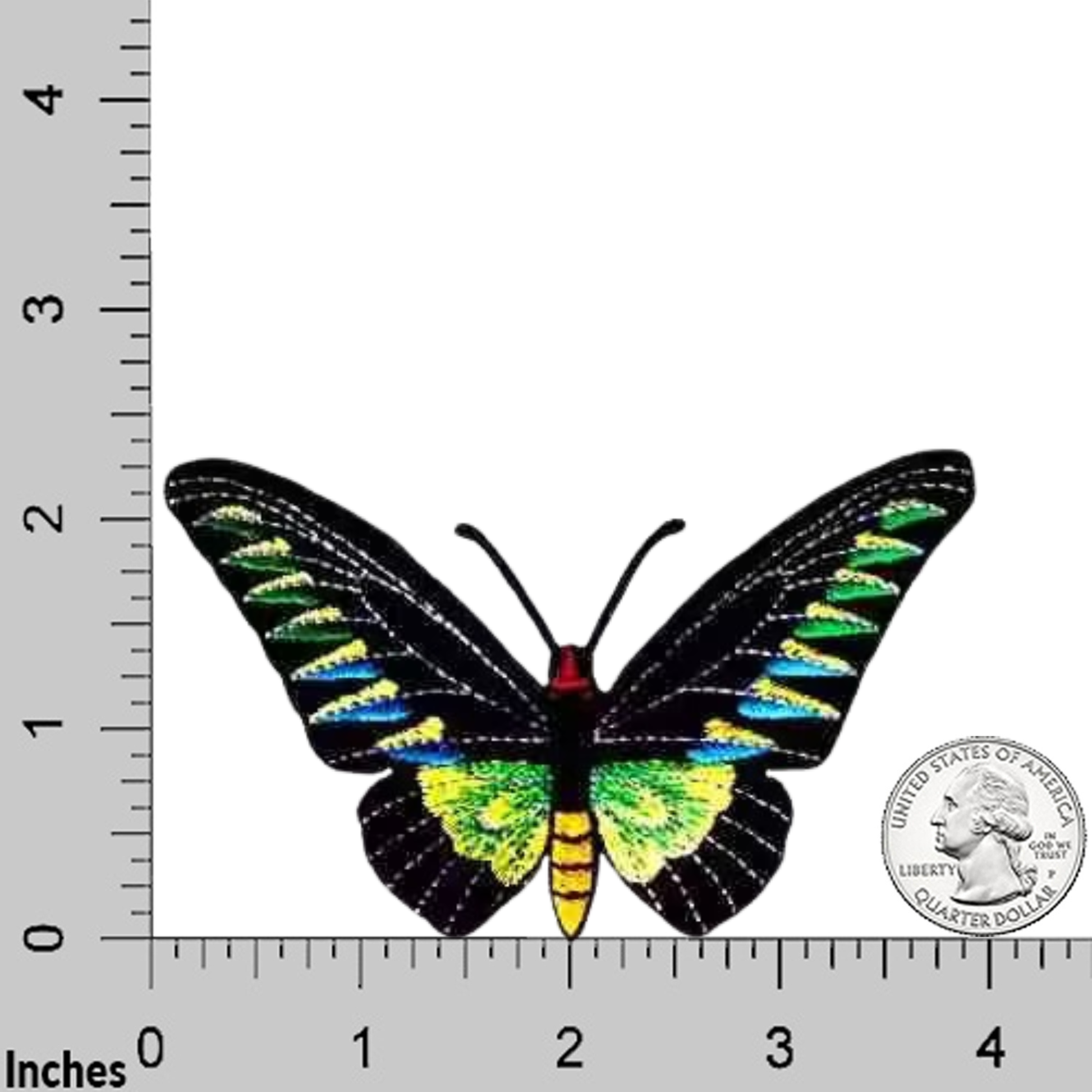 The LaughingLizards Rajah Brooke's Birdwing Butterfly (2 Pack) Iron On Patch, featuring black, green, and yellow colors, is shown on a white background with inch measurements and a U.S. quarter for scale.