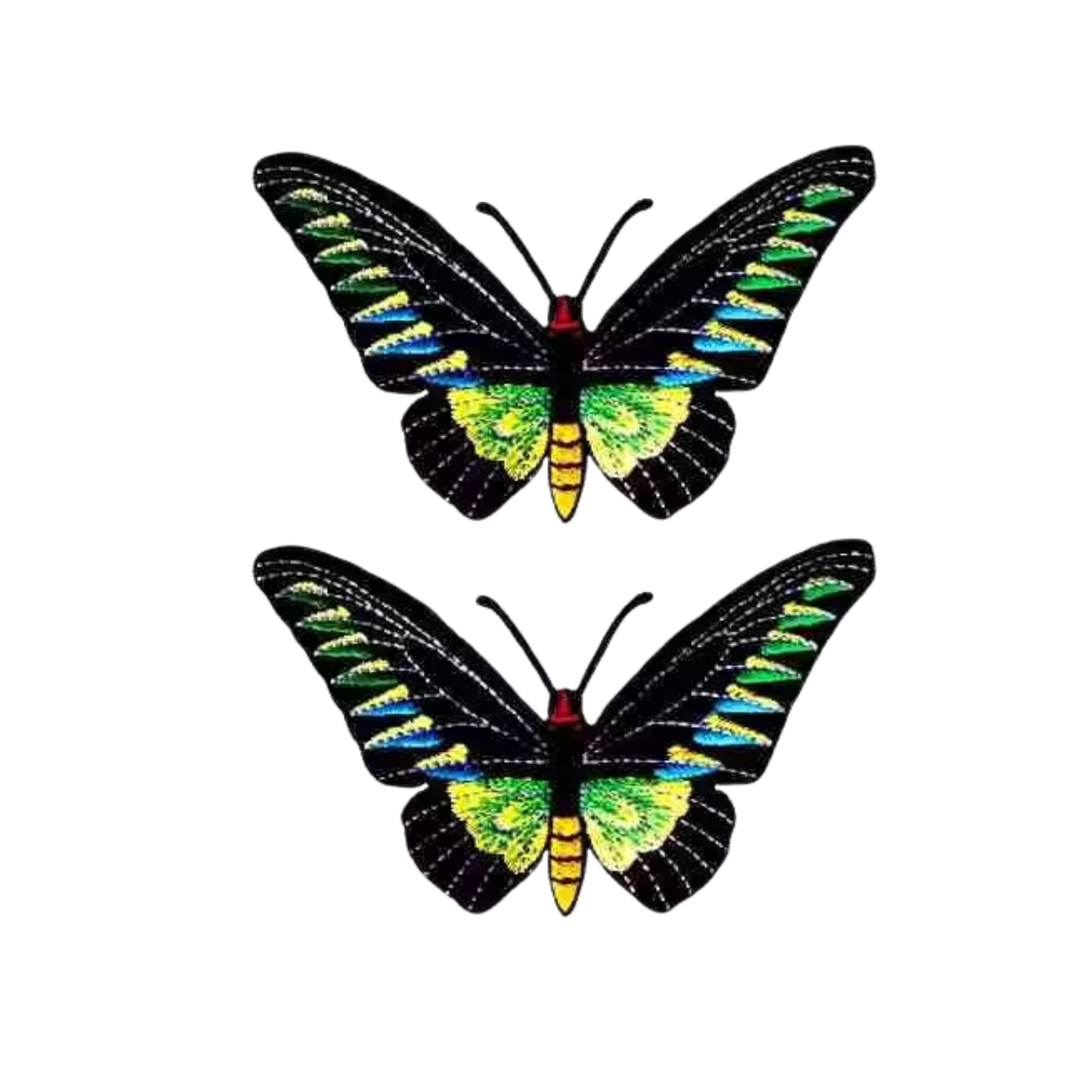 The LaughingLizards Rajah Brooke's Birdwing Butterfly Iron On Patch 2 Pack features embroidered black wings with green, blue, and yellow patterns, inspired by the butterfly. Both patches are displayed against a white background.