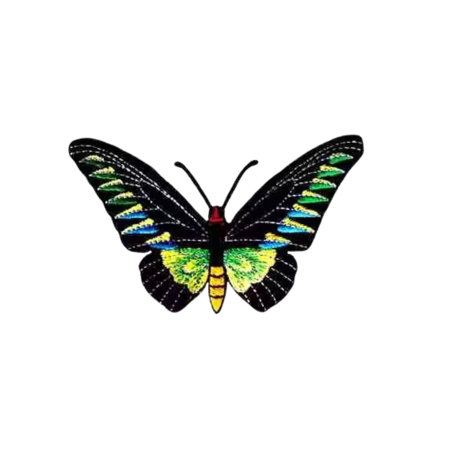 The LaughingLizards Rajah Brooke's Birdwing Butterfly (2 Pack) Iron On Patch features black wings with vivid green, yellow, and blue markings, inspired by the famed butterfly, shown on a white background.