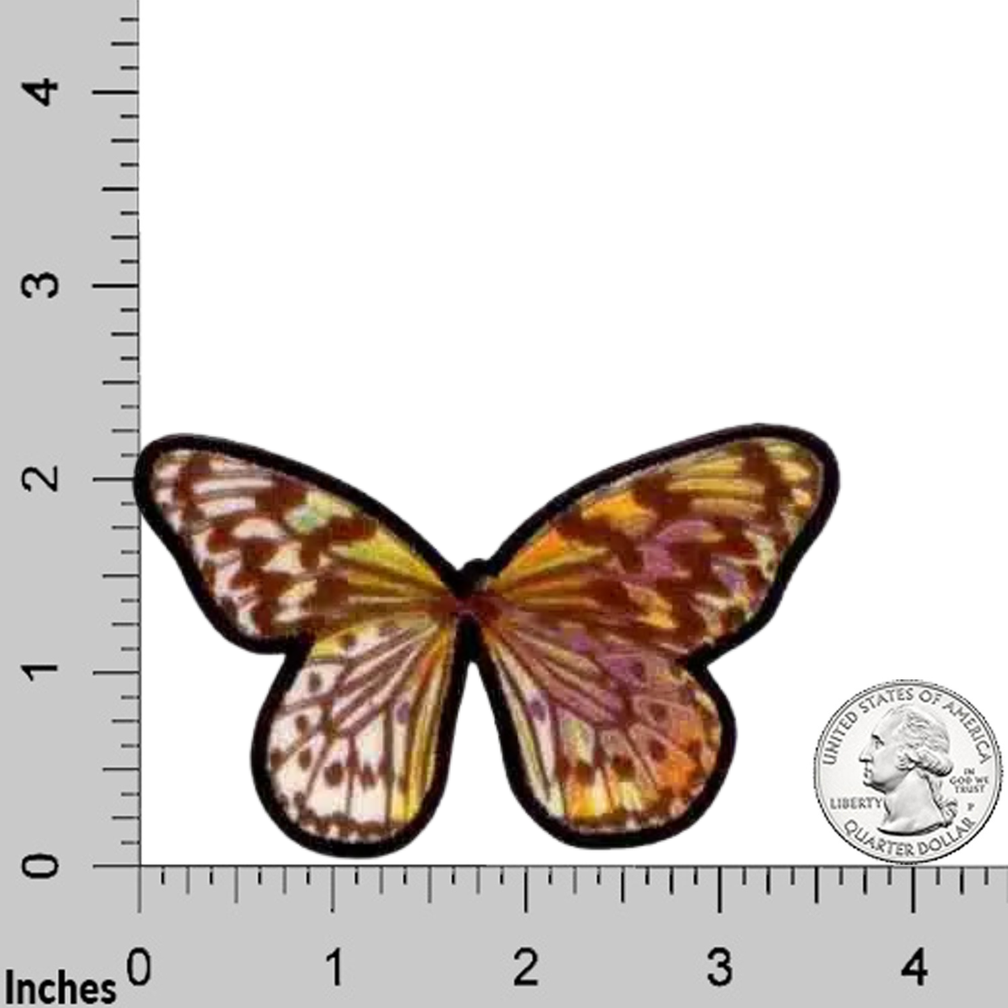 The Laughing Lizards Multi-Colored Sublimated Butterfly (3-Pack) Iron On Patch, shown with inch grid and U.S. quarter for scale, is ideal for decorating clothing or using as an accessory.