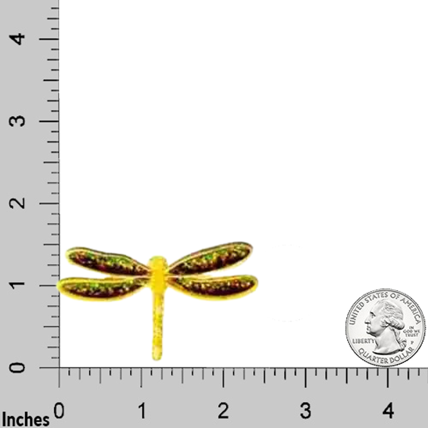 A Laughing Lizards Iridescent Sparkle Yellow Dragonfly Insect Iron On Patch (3-Pack) is shown on a grid with inch markings beside a U.S. quarter for scale.