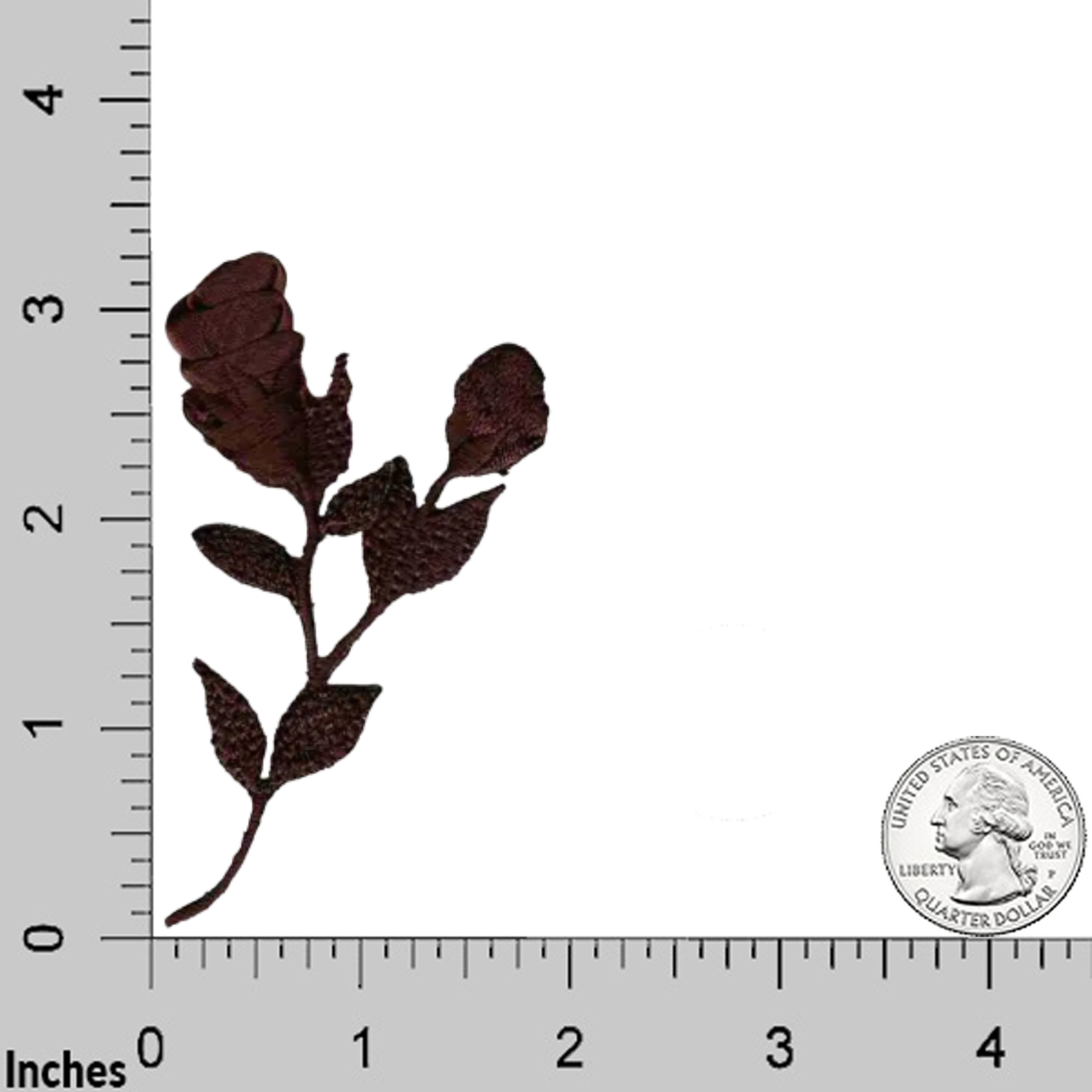 A Small Chiffon Roses Floral (2-Pack) Iron On Patch in brown by Laughing Lizards, resembling an embroidered rose with leaves, is shown on a grid with inch markings and a U.S. quarter for scale.