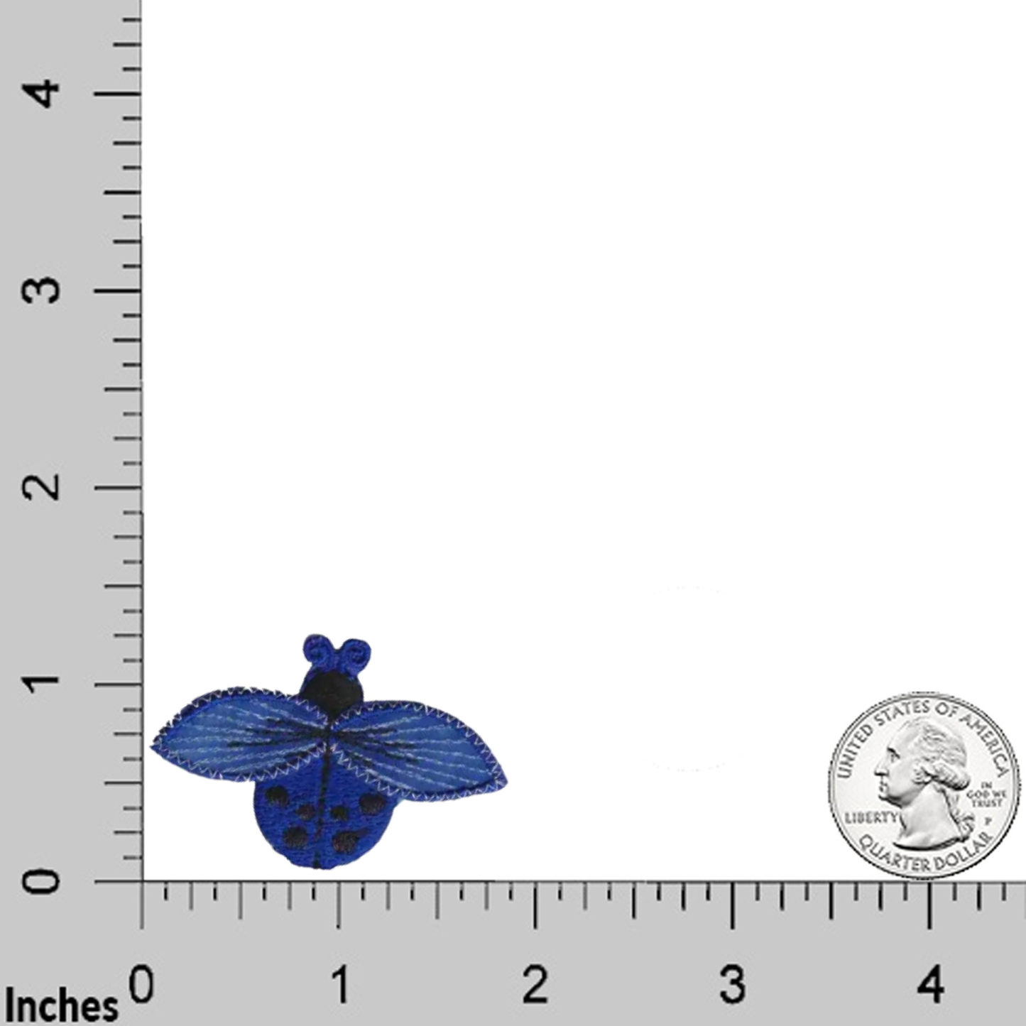A Small Ladybug in NAVY BLUE (3-Pack) Iron On Patch by Laughing Lizards is shown near a U.S. quarter on a ruler grid with inch markings, ideal for DIY crafts or as an applique.