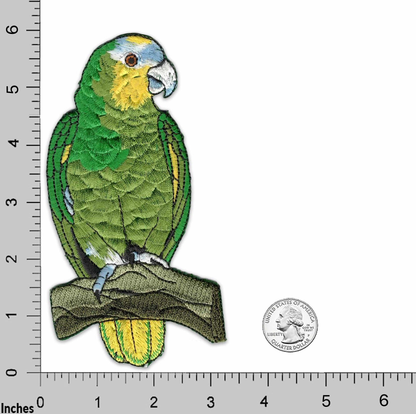 A green and yellow Curious Zebra in Grass Embroidered Iron On Patch is sitting on a branch.