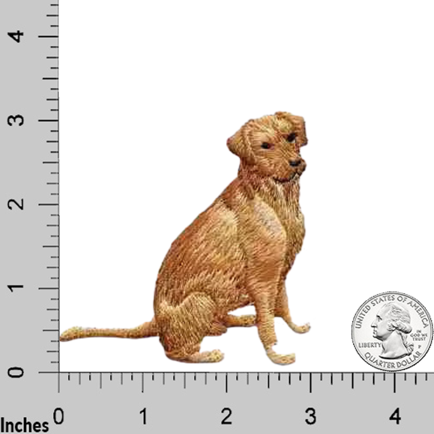 The Laughing Lizards Golden Retriever (2 Pack) Iron on Patch is shown beside a ruler and a quarter for size reference, measuring about 3 inches tall by 4 inches wide—ideal as a pet gift for dog lovers.