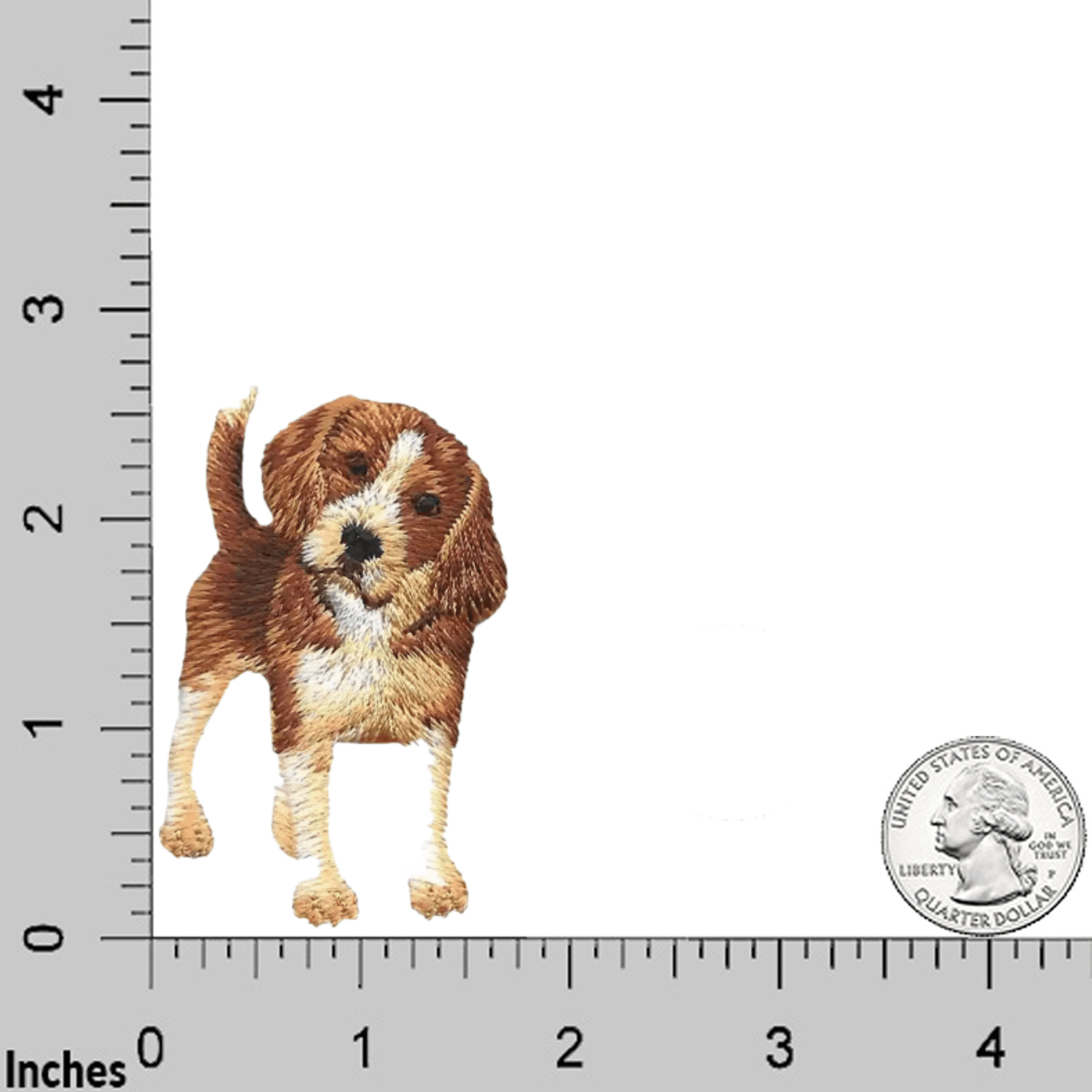 The Adorable Beagle Dog (3-Pack) Iron On Patch by LaughingLizards is shown beside a U.S. quarter and ruler for scale. This cute brown and white puppy patch is ideal as a dog applique or Beagle iron on patch.
