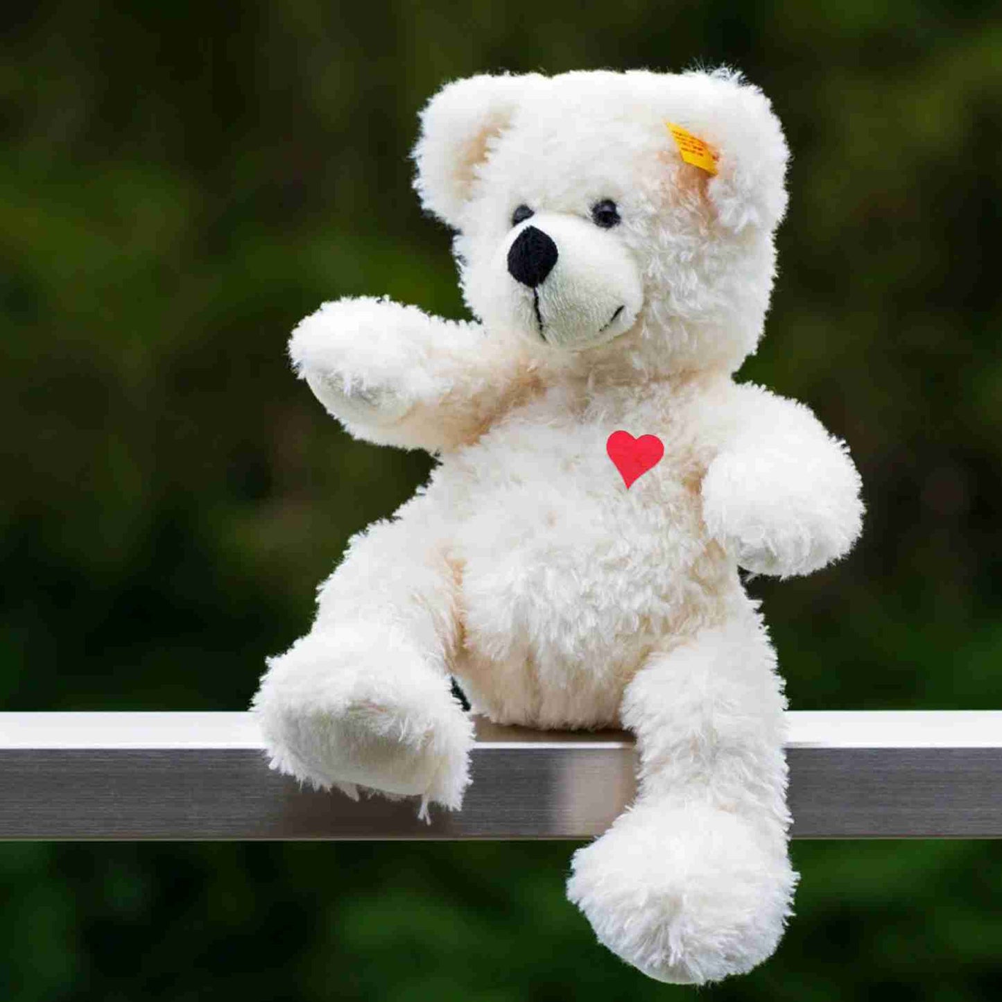 A white teddy bear with a Heart Embroidered Iron on Patch (5-Pack) patch.