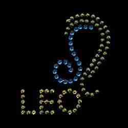 The Rhinestud Leo Zodiac Sign Iron On Applique is written in beads on a black background.