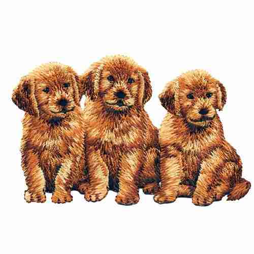 Three Dogs - Golden Puppies Iron on Patch Appliques sitting on a white background.