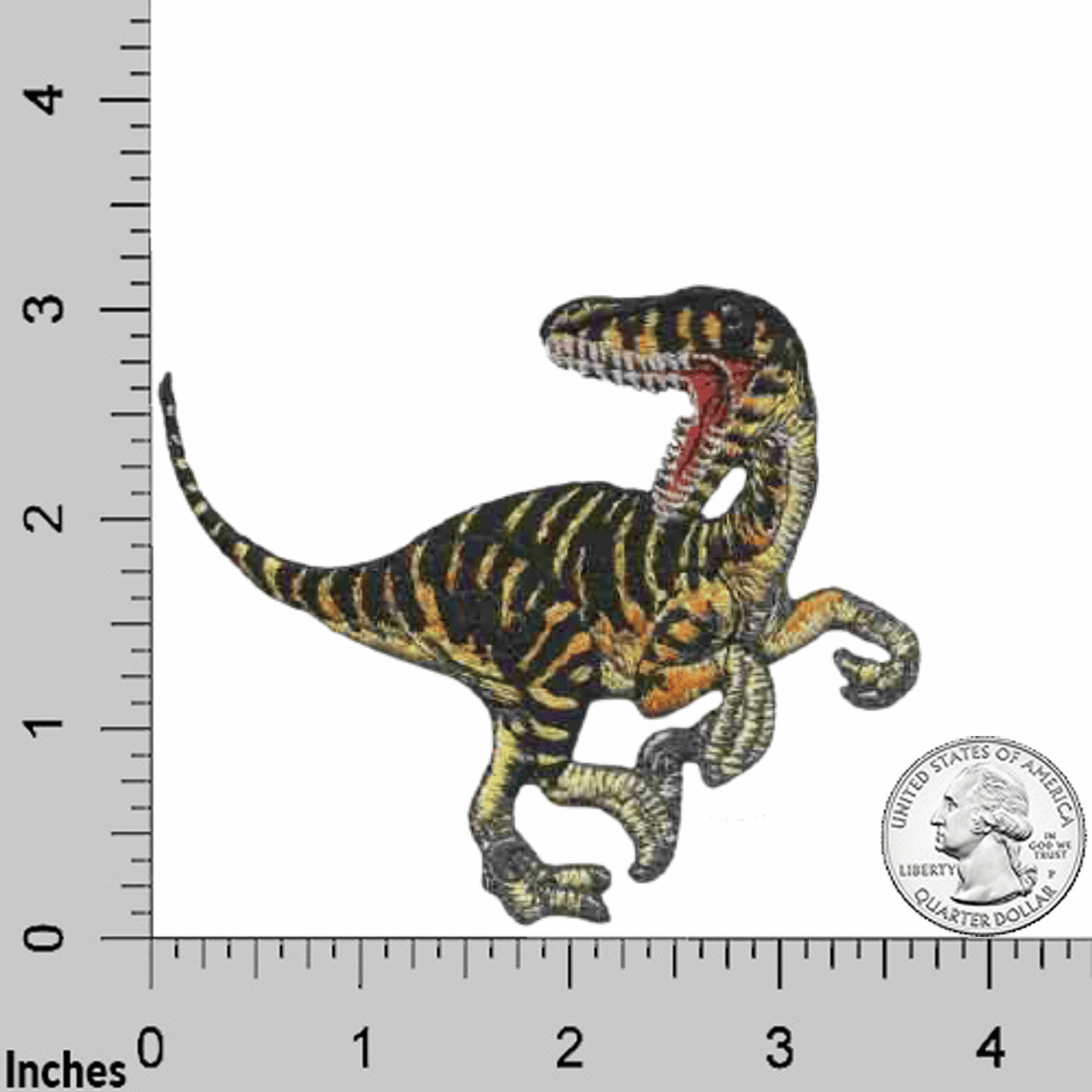A Velociraptor Dinosaur Patches (2-Pack) Dinosaur embroidered iron on patch appliques on a ruler.