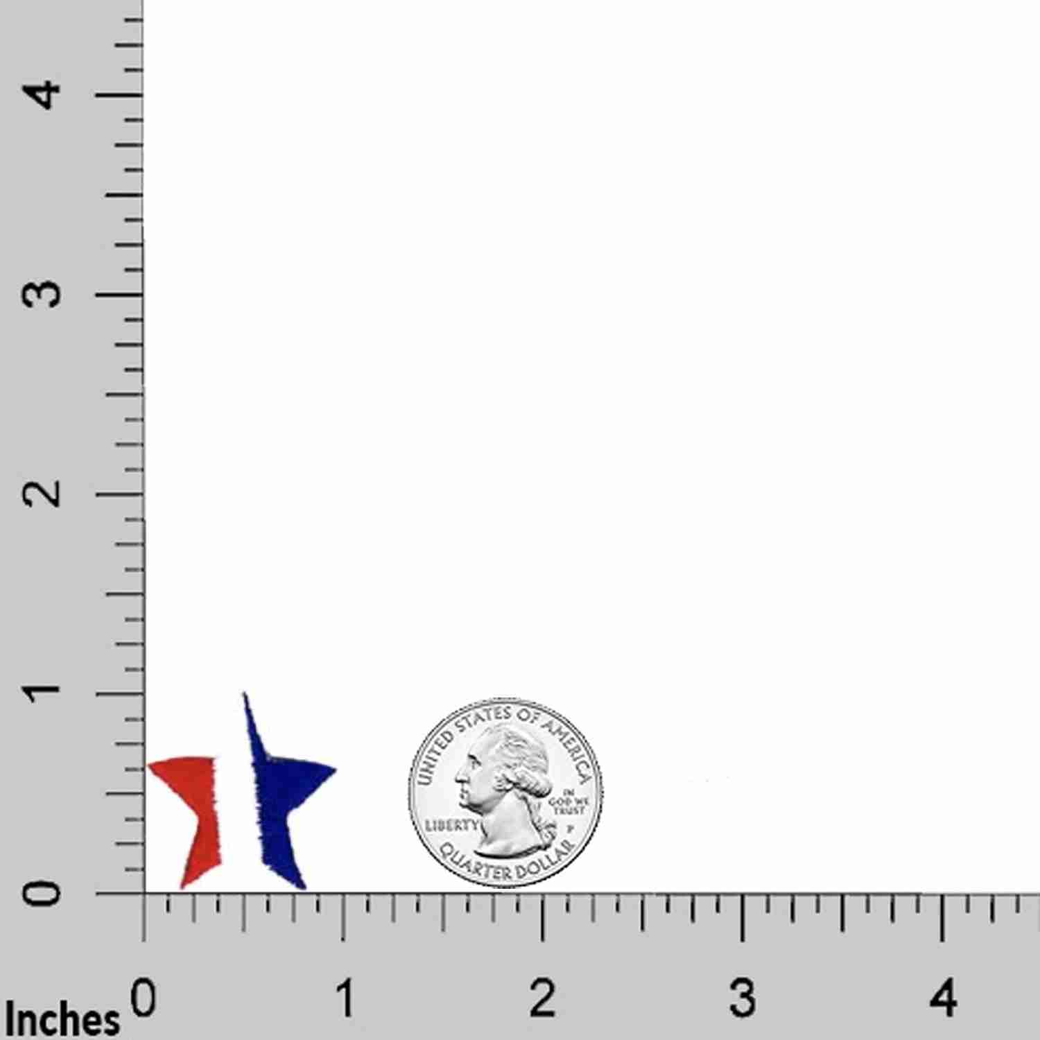 A 1-Inch Star Patches: Red, White and Blue Star Patch (10-Pack) with a red, white and blue star on it.