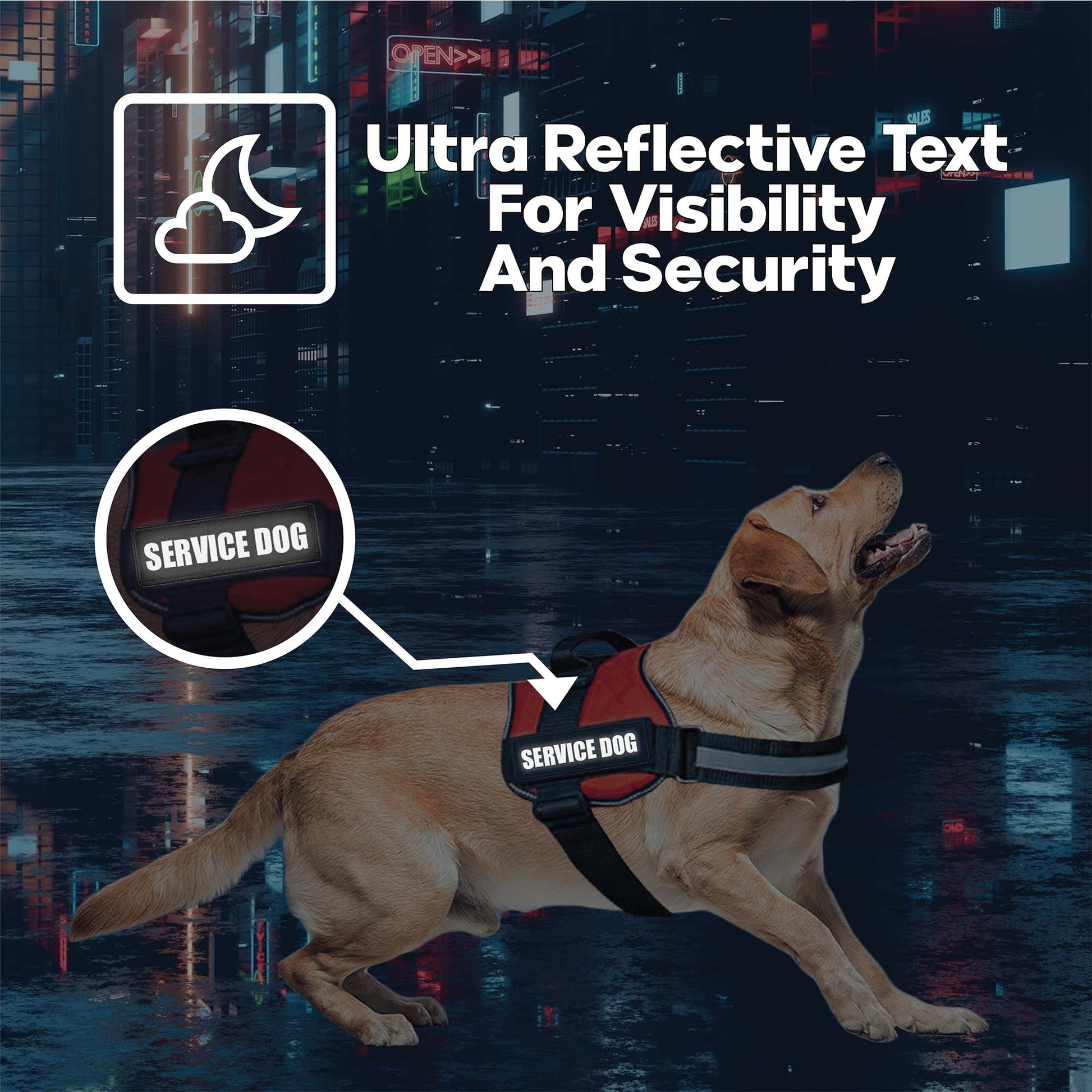 Ultra reflective Service Dog Patches (2-Pack) Highly Reflective Embroidered Hook and Loop Patches for visibility and security.