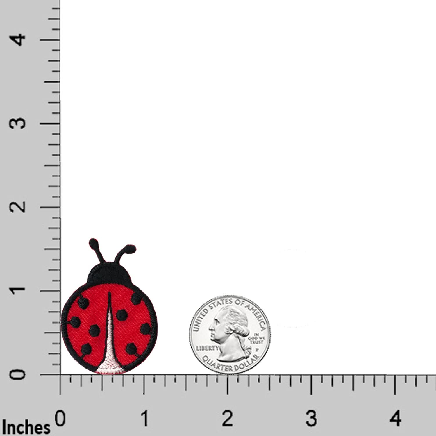 A Laughing Lizards Small Ladybug Patches (5-Pack) Insect Embroidered Iron-on Patch is shown beside a U.S. quarter for scale, placed on a grid with inch markers along the edges.