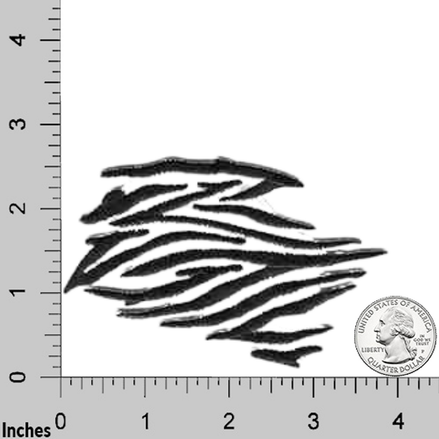 Zebra Pelt  Jungle Animal (2-Pack) Iron On Patch