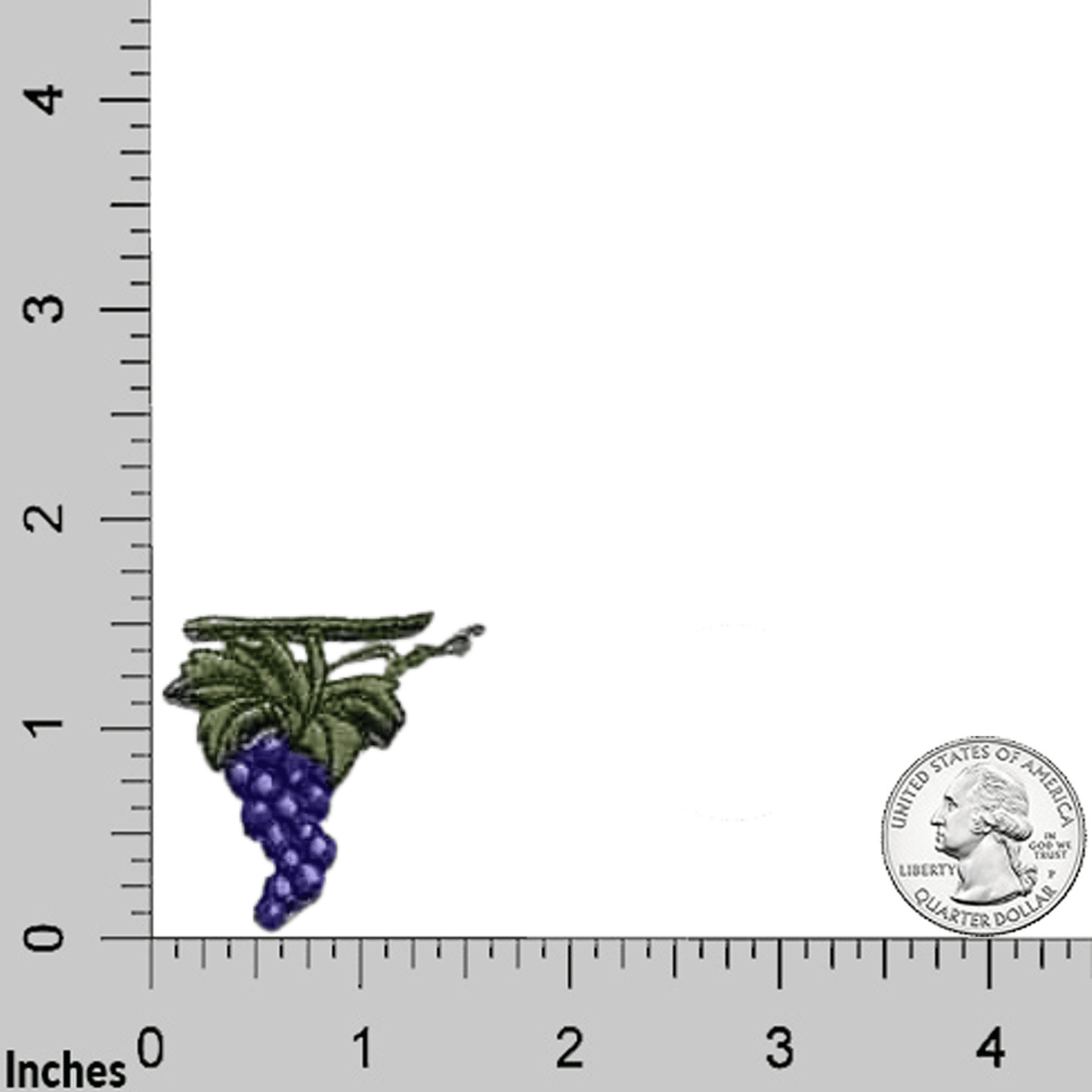 Cluster of Grapes (5-Pack) Fruit Iron On Patch