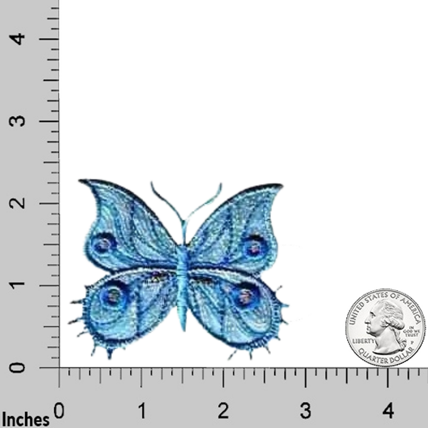 Fancy Sparkle Butterfly (3-Pack) Iron On Patch - Large: Multiple Colors