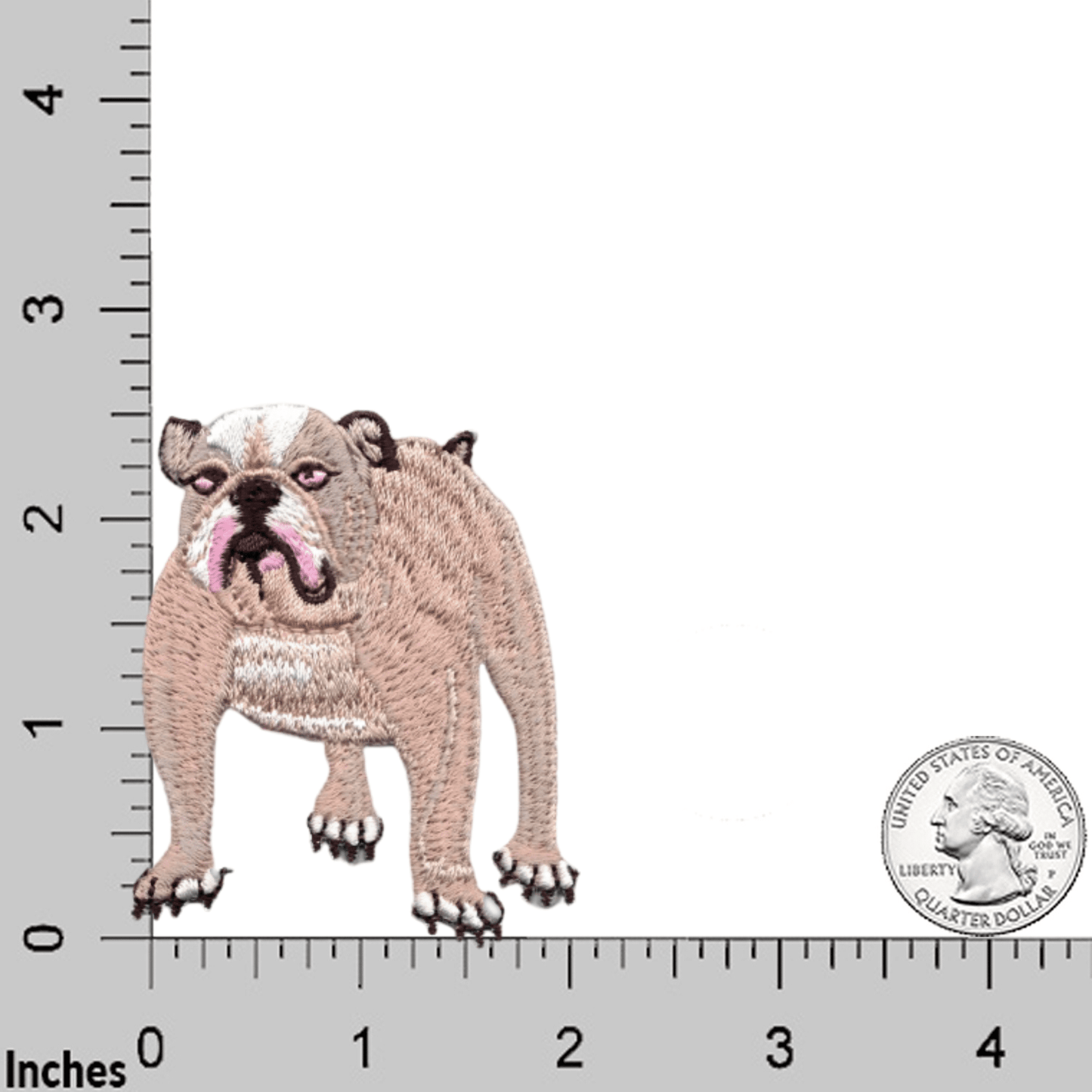 English Bulldog  Dog (2-Pack) Iron On Patch