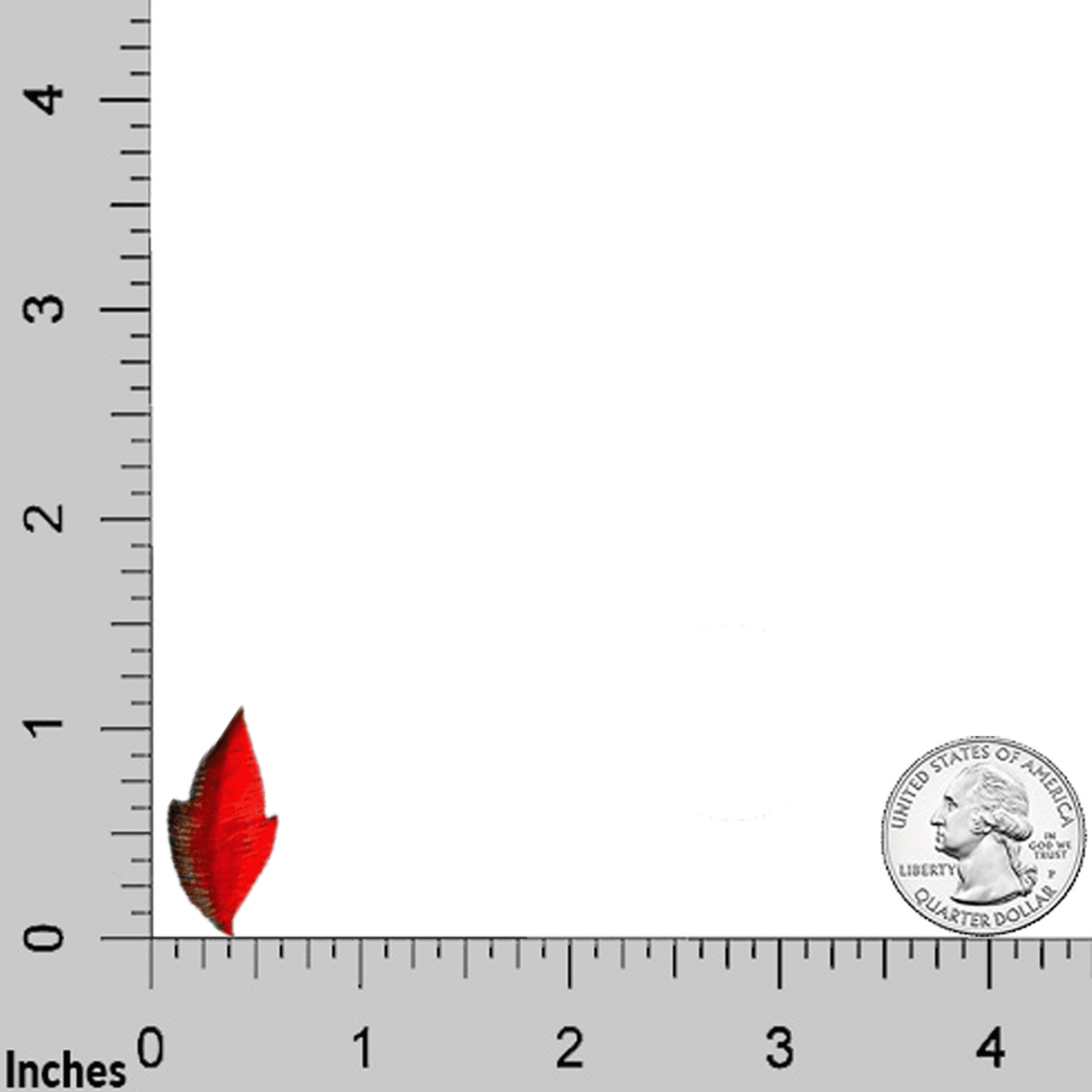 A ruler with a Fall Leaf Patches (10 Pack) Fall Embroidered Iron On Patch- Small on it.
