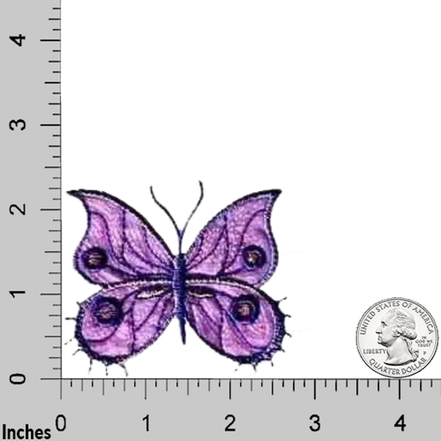Fancy Sparkle Butterfly (3-Pack) Iron On Patch - Large: Multiple Colors