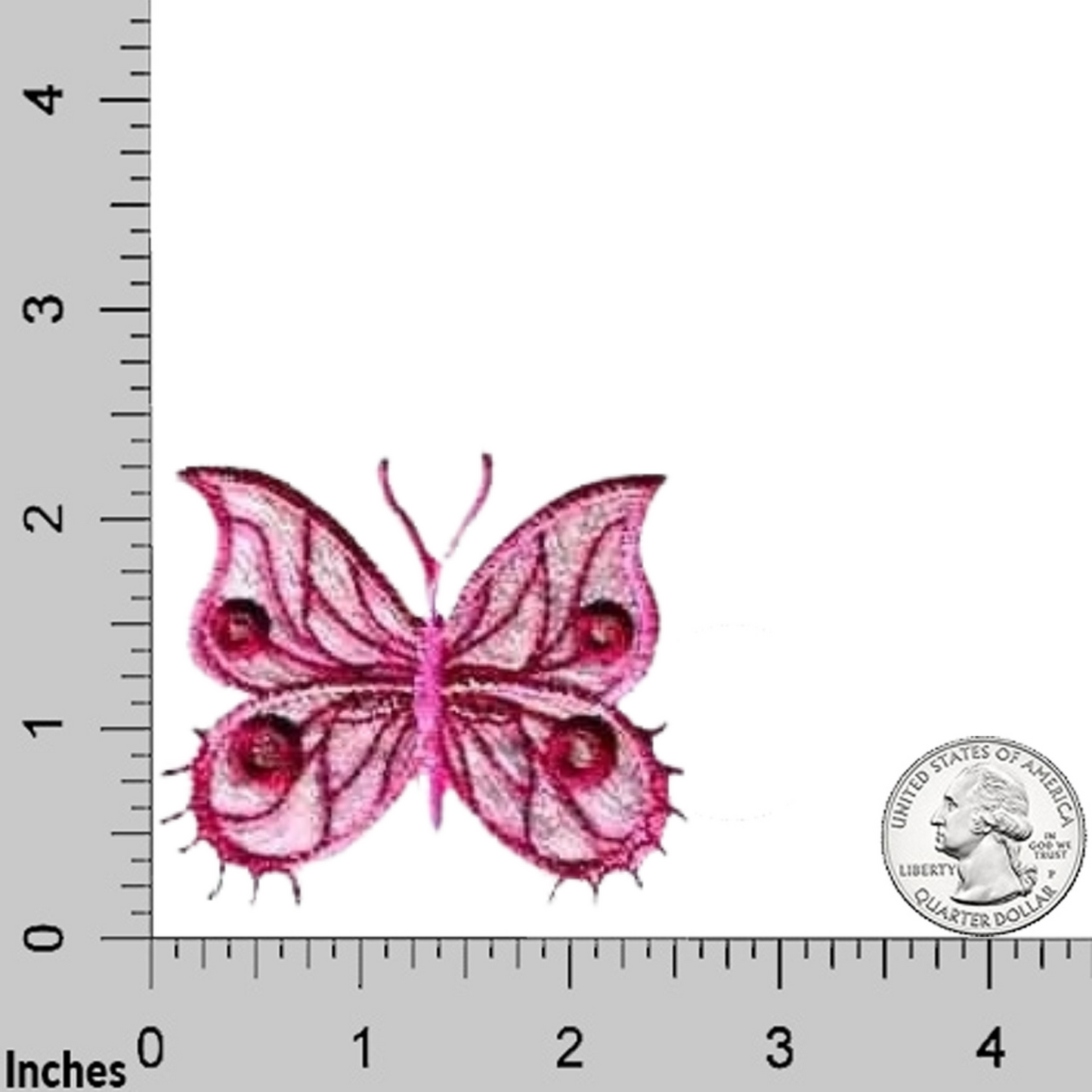 Fancy Sparkle Butterfly (3-Pack) Iron On Patch - Large: Multiple Colors