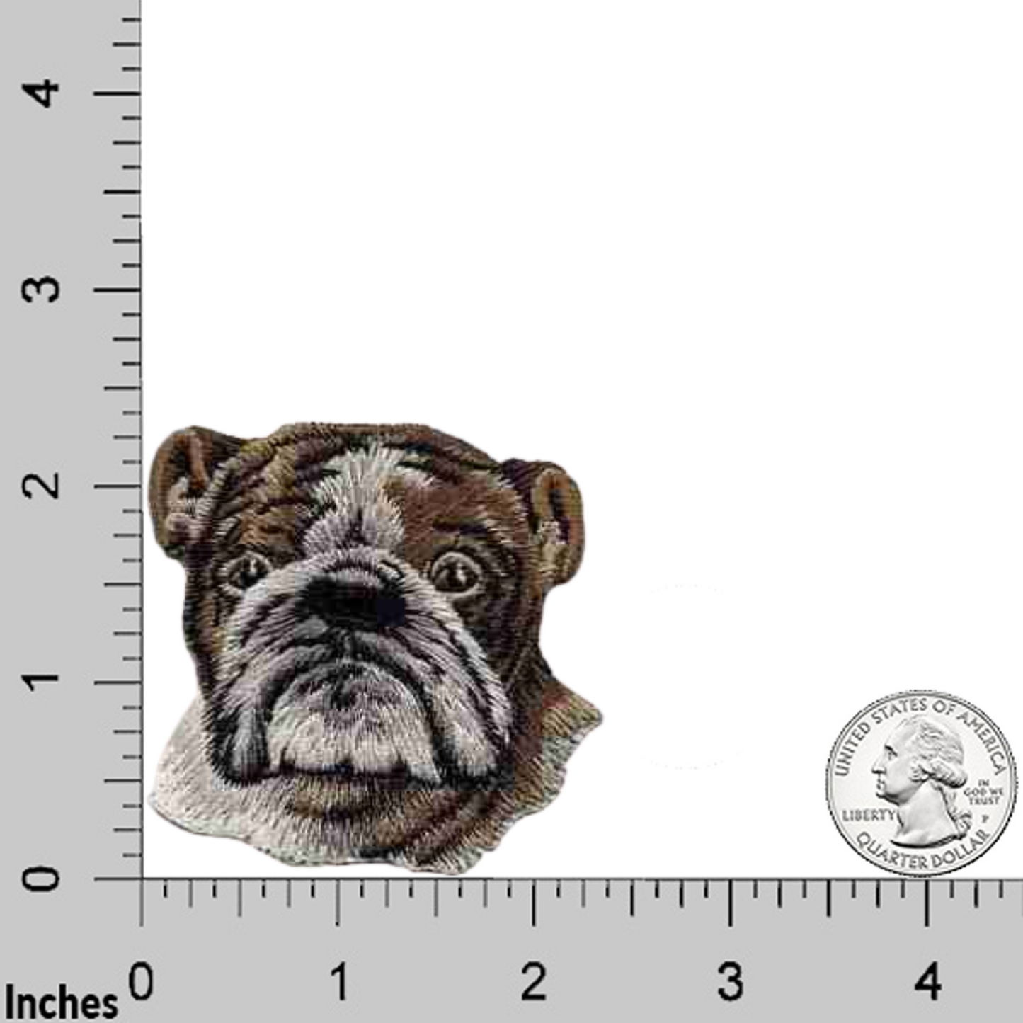 Laughing Lizards’ English Bulldog Head Iron On Patch (3-Pack) is shown with a ruler and quarter for size. Each patch measures about 2.5 inches wide—ideal for dog lovers or customizing your accessories.