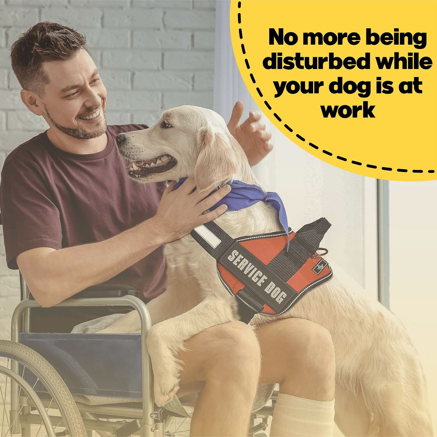 Benefits of Service Dog Vest