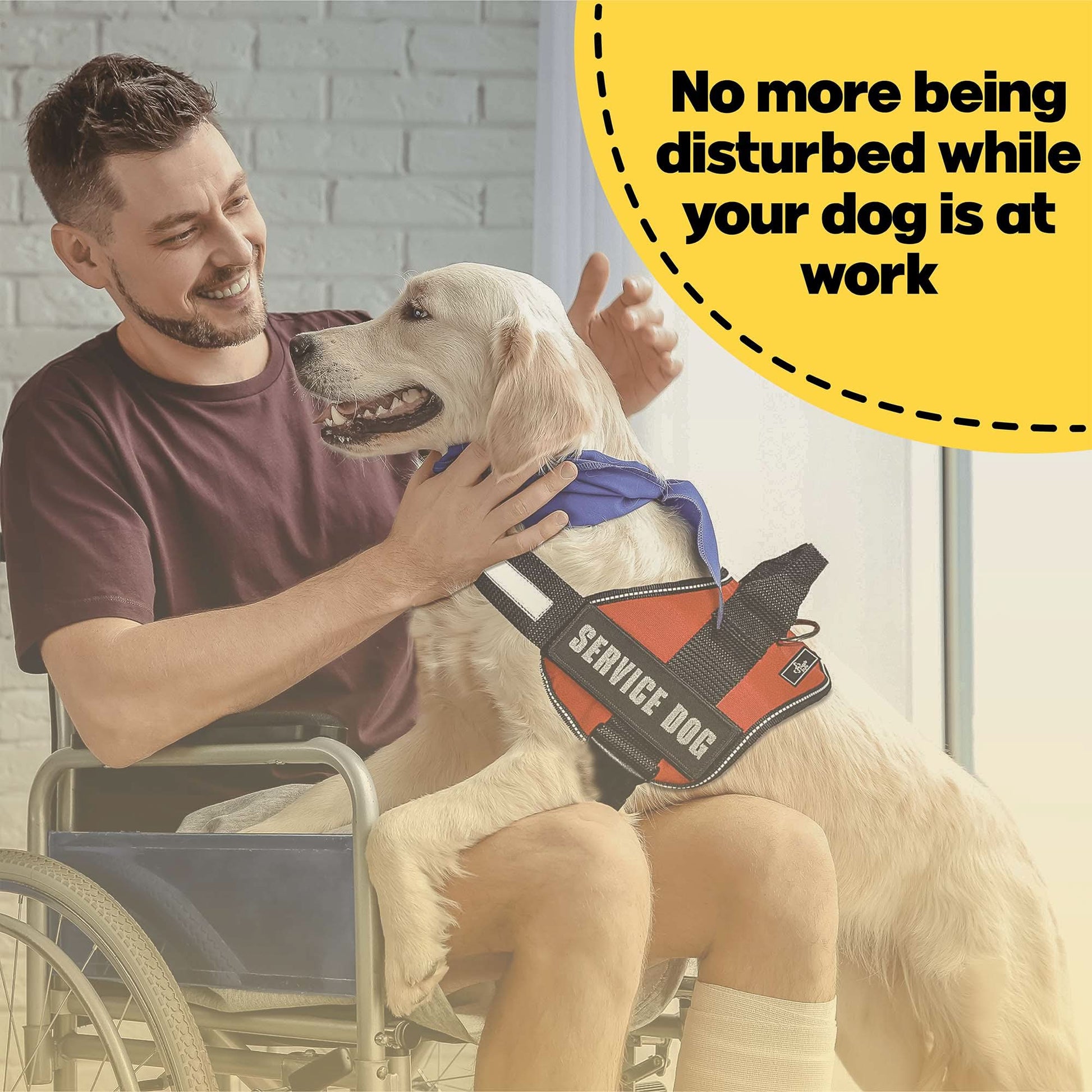 Benefits of Service Dog Vest