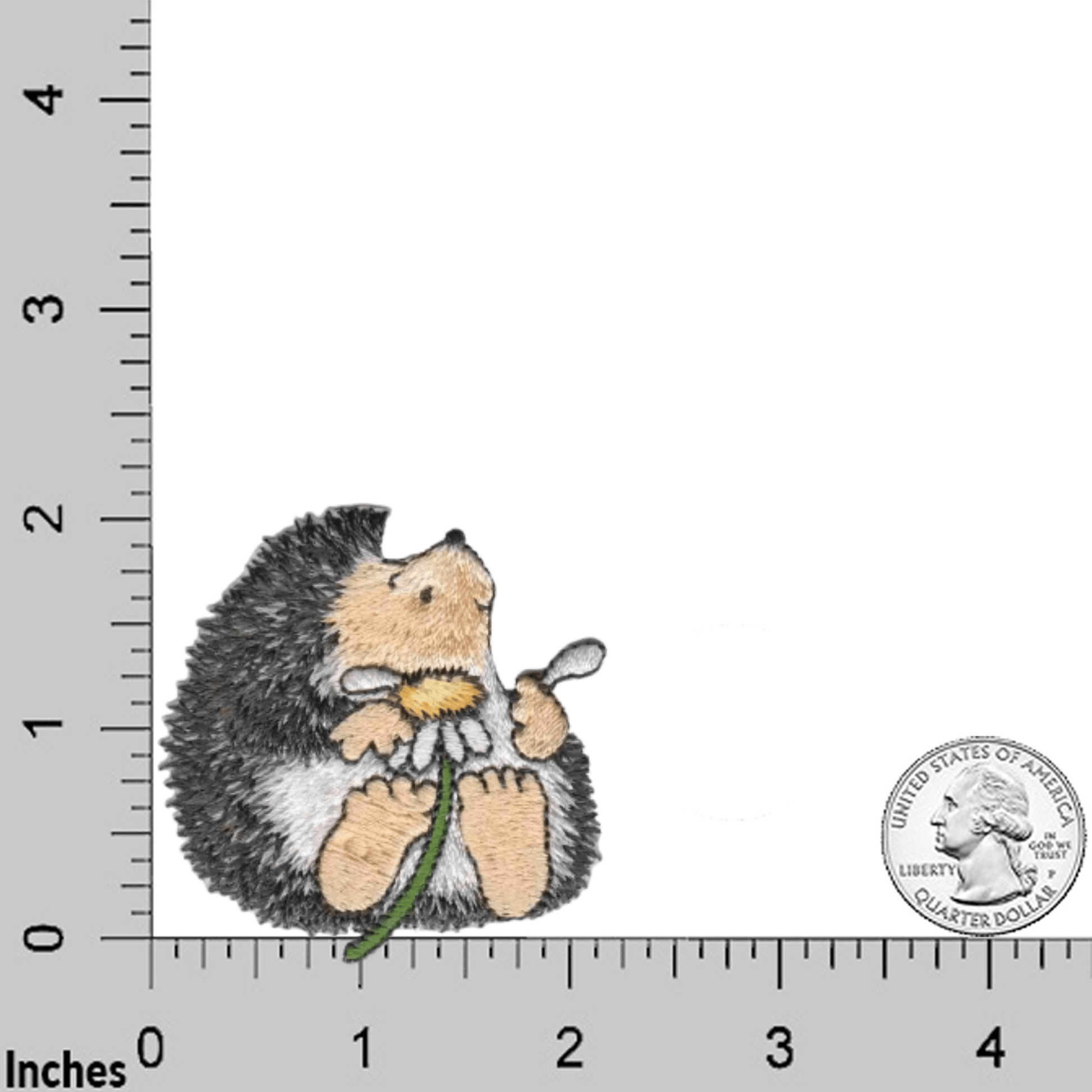 Laughing Lizards Cute Hedgehog with Daisy (3 Pack) Iron On Patch shown beside a ruler and US quarter for size—ideal for your embroidered or iron-on patch collection.