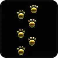 Animal Paw Prints Iron on Hotfix Applique: Black paw prints on a black background.