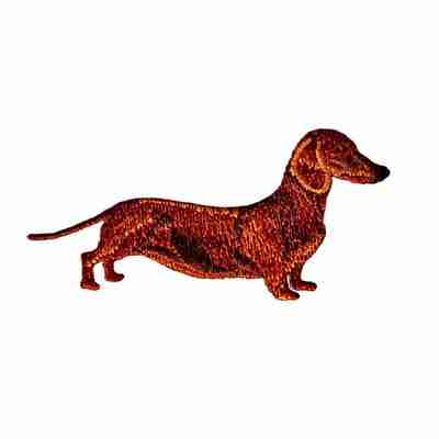 A Dachshund (3-Pack) Dog Pet Iron On Patch is standing on a white background.