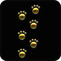 Animals Paw Prints Iron on Hotfix Applique: Gold paw prints on a black background.